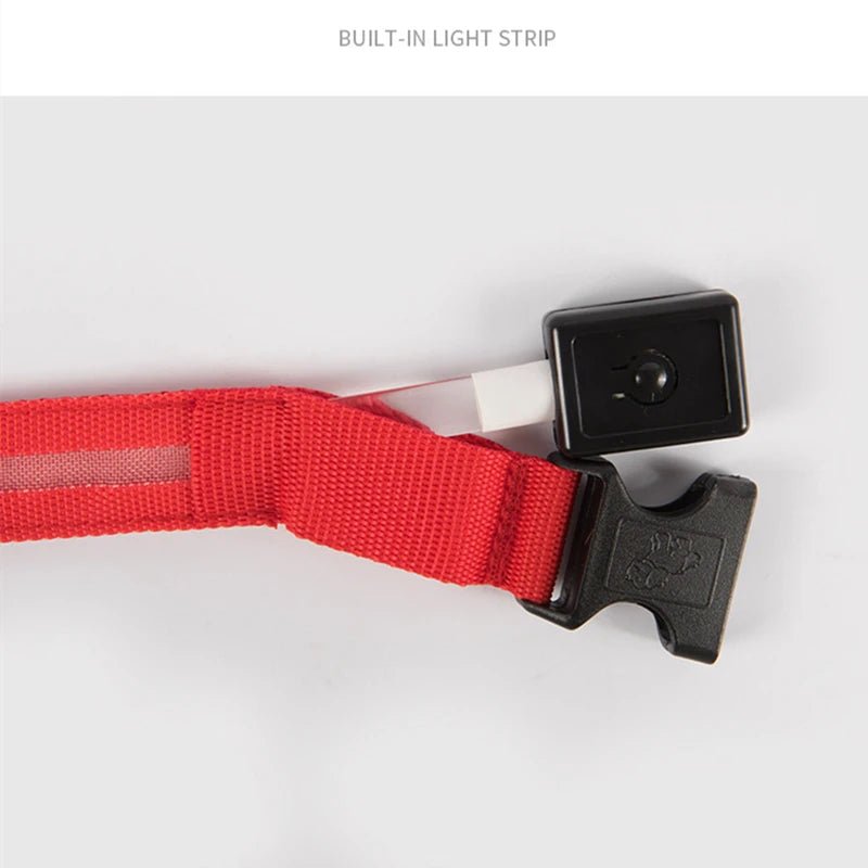 3 Modes Dog Luminous Charge Collar Led Usb Cat Dogs Collars Detachable Night Led Glow Dog Loss Prevention Collar Pet Accessories - Ammdog.com