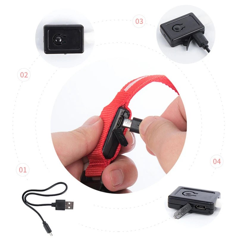 3 Modes Dog Luminous Charge Collar Led Usb Cat Dogs Collars Detachable Night Led Glow Dog Loss Prevention Collar Pet Accessories - Ammdog.com