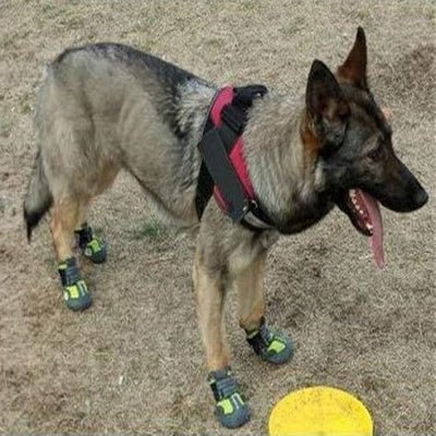 Chaussons pour chien - PetDogShoes™ - Jaune - Ammdog.com