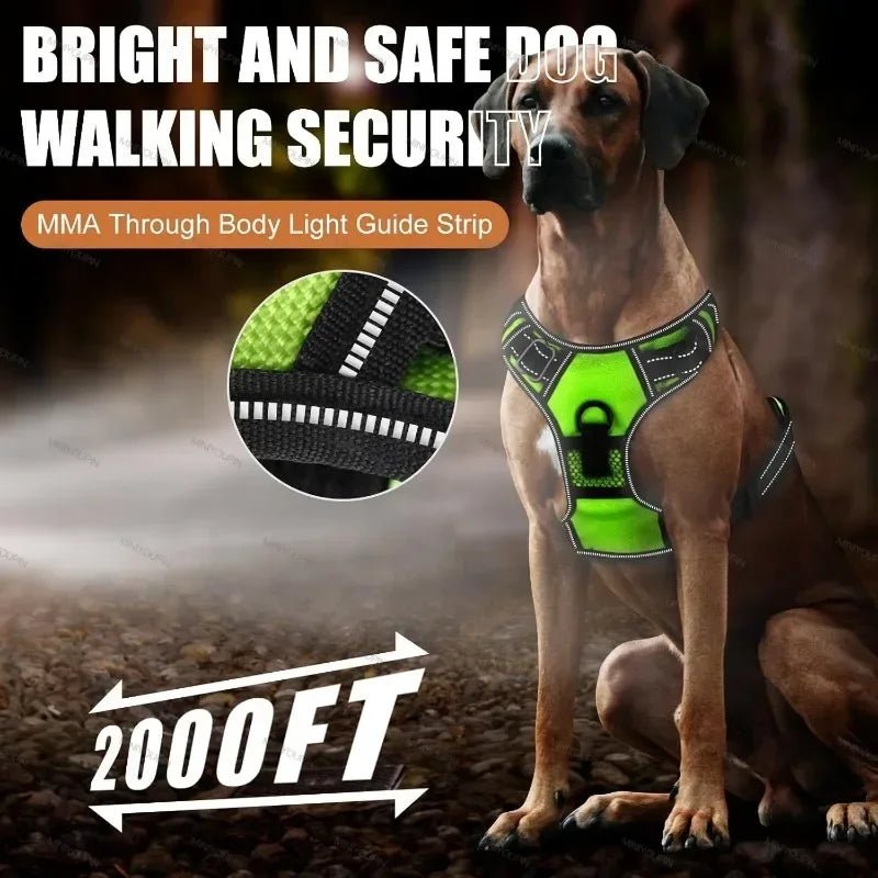 Led luminous Dog Harness No Pull Adjustable Rechargeable Pet Vest Harness Small Medium Large Dogs Outdoor Walking Pet Supplies - Ammdog.com