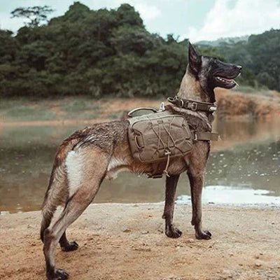 Sac à dos pour chien - BackpackDogHarness™ - Marron - Ammdog.com