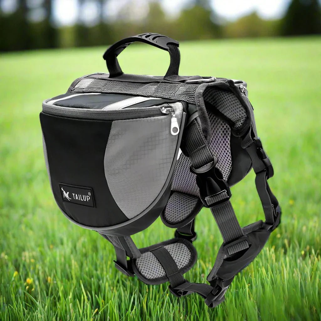 Sac de Voyage Chien - DogBackpack™ - Noir - Ammdog.com